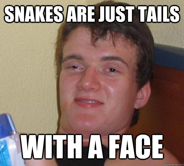 snakes are just tails with a face - snakes are just tails with a face  10 Guy