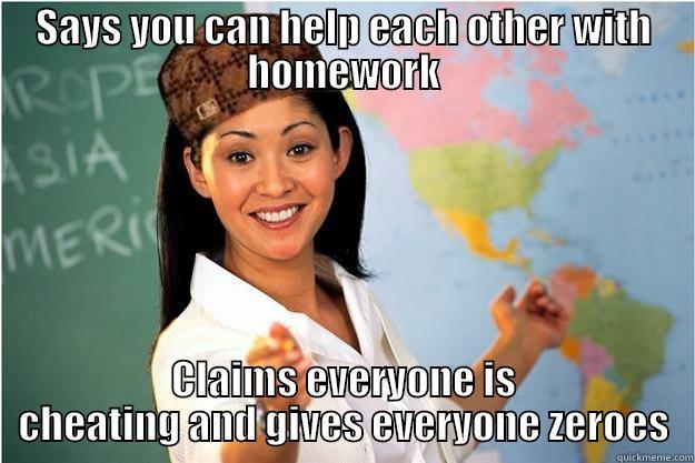 SAYS YOU CAN HELP EACH OTHER WITH HOMEWORK CLAIMS EVERYONE IS CHEATING AND GIVES EVERYONE ZEROES Scumbag Teacher