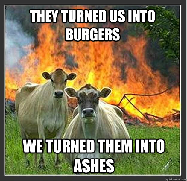 They turned us into burgers we turned them into ashes  Evil cows