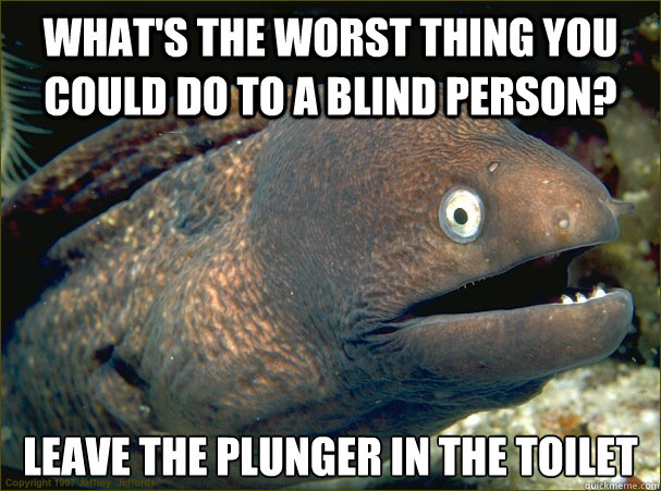 What's the worst thing you could do to a blind person? Leave the plunger in the toilet  Bad Joke Eel