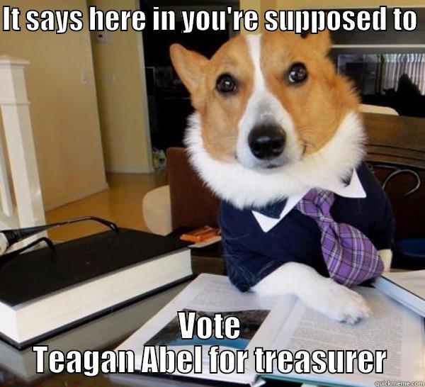 IT SAYS HERE IN YOU'RE SUPPOSED TO  VOTE TEAGAN ABEL FOR TREASURER Lawyer Dog