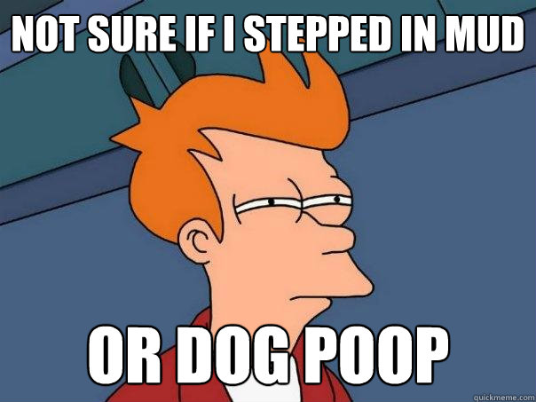 Not sure if I stepped in Mud Or dog poop  Futurama Fry