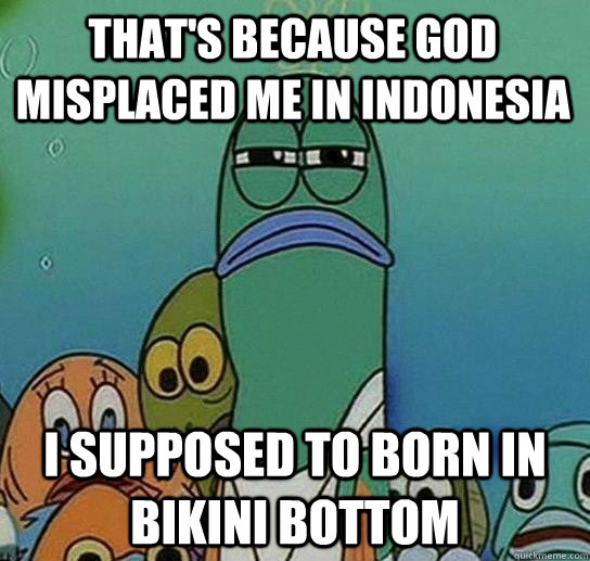 that's because god misplaced me in indonesia I supposed to born in bikini bottom  Serious fish SpongeBob