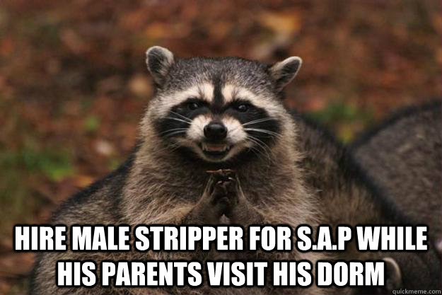  Hire Male stripper for S.A.P while his parents visit his dorm -  Hire Male stripper for S.A.P while his parents visit his dorm  Evil Plotting Raccoon