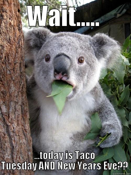 WAIT..... ...TODAY IS TACO TUESDAY AND NEW YEARS EVE?? koala bear