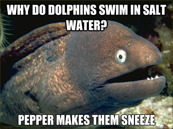 why do dolphins swim in salt water? pepper makes them sneeze  Bad Joke Eel