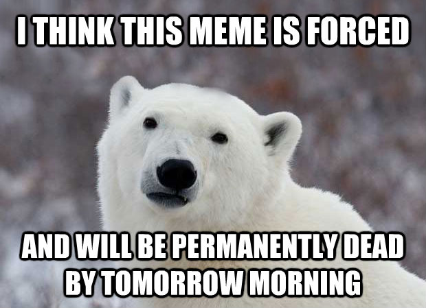 I THINK THIS MEME IS FORCED AND WILL BE PERMANENTLY DEAD BY TOMORROW MORNING  Popular Opinion Polar Bear