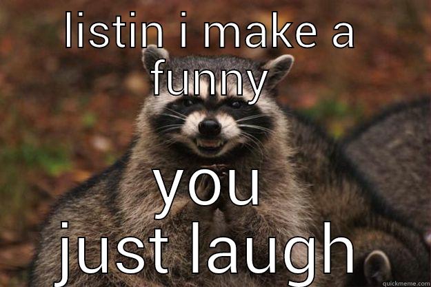 listin i make a funny you just laugh  - LISTIN I MAKE A FUNNY YOU JUST LAUGH Evil Plotting Raccoon