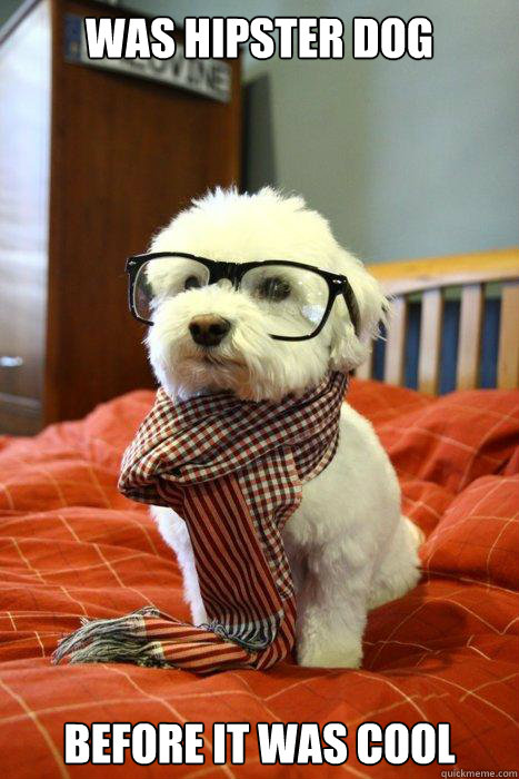 WAS HIPSTER DOG BEFORE IT WAS COOL  Hipster Dog