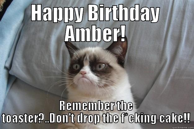 amber toaster - HAPPY BIRTHDAY AMBER! REMEMBER THE TOASTER?..DON'T DROP THE F*CKING CAKE!! Grumpy Cat