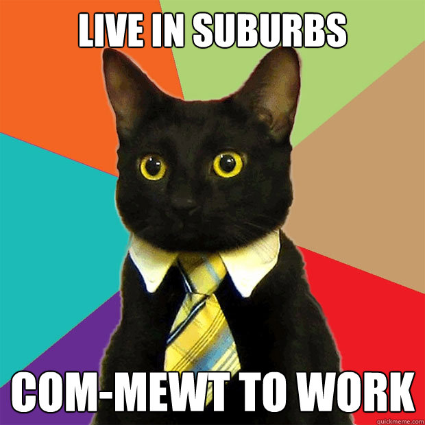 live in suburbs com-mewt to work  Business Cat