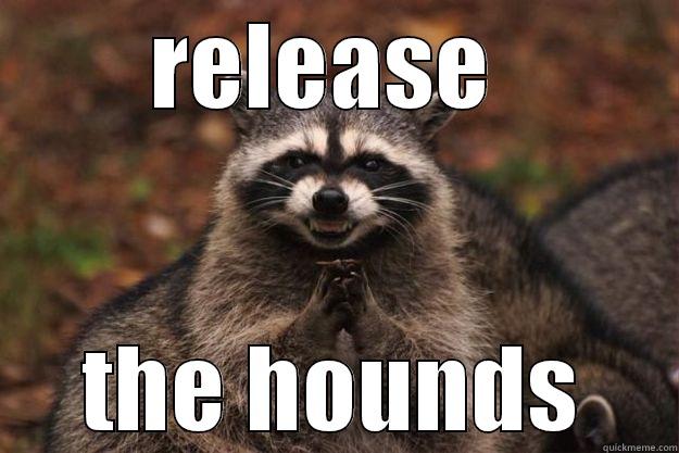 RELEASE  THE HOUNDS Evil Plotting Raccoon