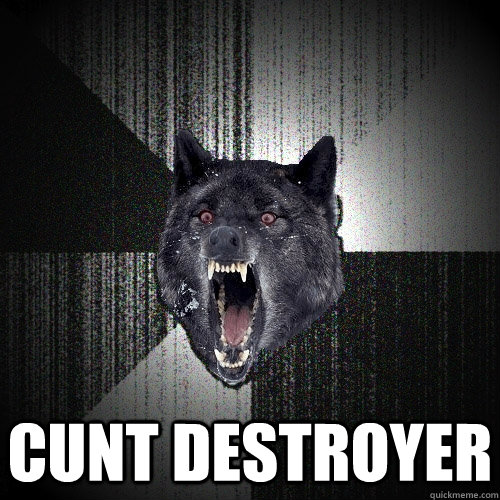  CUNT DESTROYER  Insanity Wolf