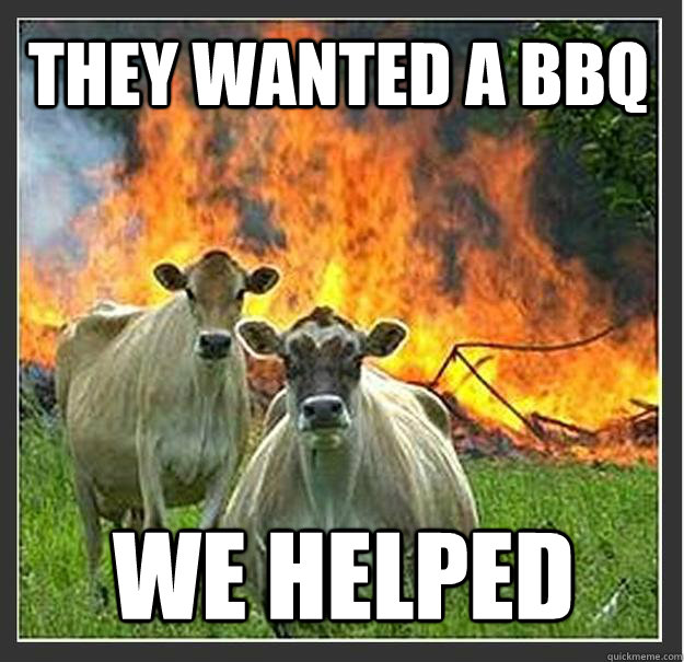 They wanted a BBQ we helped  Evil cows