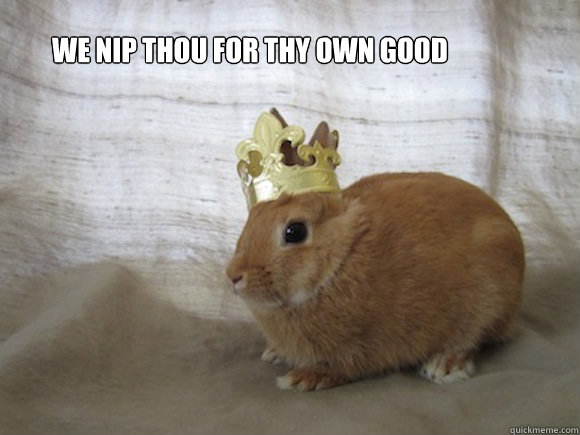 we nip thou for thy own good
  Renaissance Rabbit