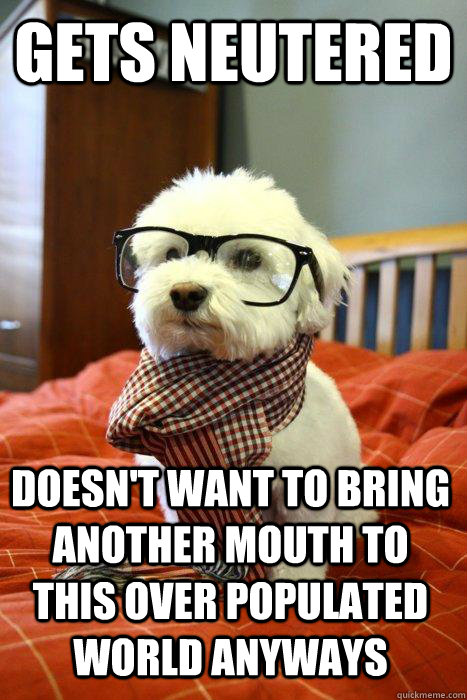 gets neutered  doesn't want to bring another mouth to this over populated world anyways  Hipster Dog