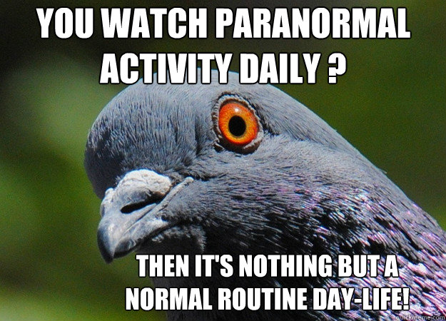 you watch paranormal activity daily ? then it's nothing but a normal routine day-life!  