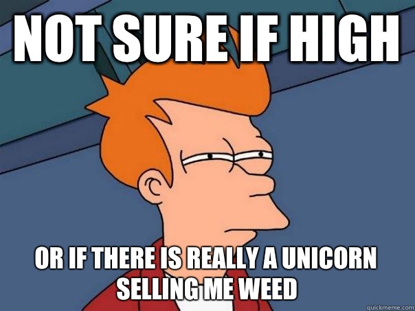 Not sure if high Or if there is really a unicorn selling me weed - Not sure if high Or if there is really a unicorn selling me weed  Futurama Fry