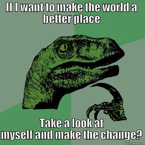 IF I WANT TO MAKE THE WORLD A BETTER PLACE TAKE A LOOK AT MYSELF AND MAKE THE CHANGE? Philosoraptor