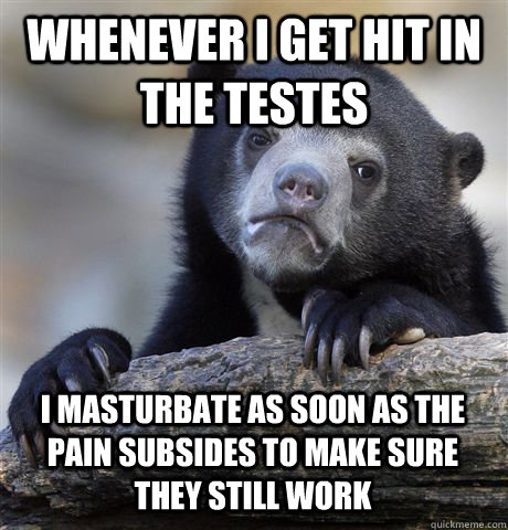 WHENEVER I GET HIT IN THE TESTES I MASTURBATE AS SOON AS THE PAIN SUBSIDES TO MAKE SURE THEY STILL WORK  Confession Bear