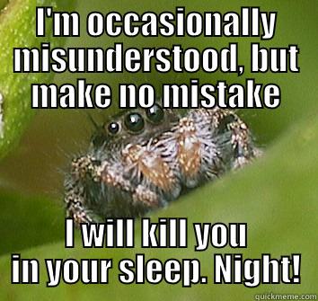 I'M OCCASIONALLY MISUNDERSTOOD, BUT MAKE NO MISTAKE I WILL KILL YOU IN YOUR SLEEP. NIGHT! Misunderstood Spider