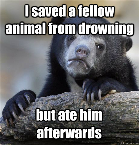 I saved a fellow animal from drowning but ate him afterwards - I saved a fellow animal from drowning but ate him afterwards  Confession Bear