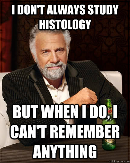 I don't always study histology but when I do, I can't remember anything  The Most Interesting Man In The World