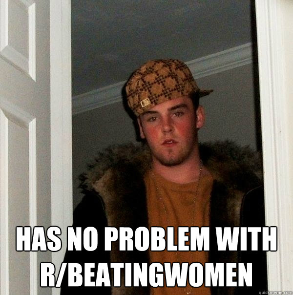  has no problem with r/beatingwomen  Scumbag Steve