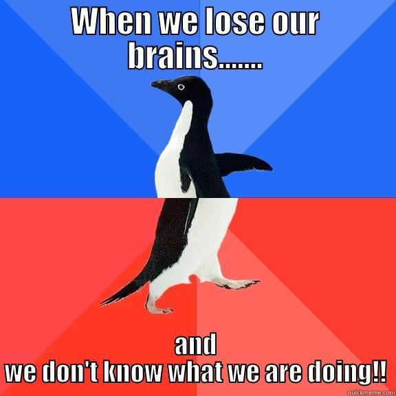 WHEN WE LOSE OUR BRAINS....... AND WE DON'T KNOW WHAT WE ARE DOING!! Socially Awkward Awesome Penguin