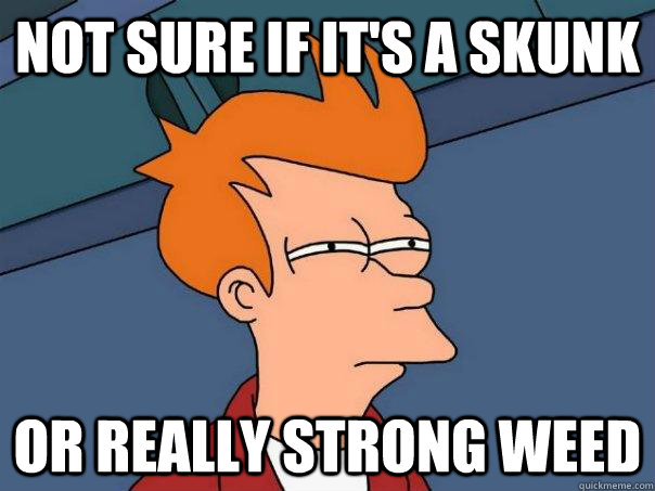 Not sure if it's a skunk or really strong weed  Futurama Fry