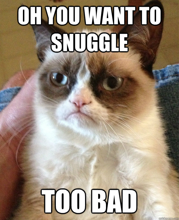 Oh you want to snuggle too bad  Grumpy Cat