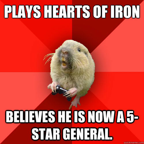 Plays Hearts of Iron Believes he is now a 5-star general.  Gaming Gopher