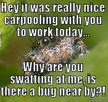 HEY IT WAS REALLY NICE CARPOOLING WITH YOU TO WORK TODAY... WHY ARE YOU SWATTING AT ME, IS THERE A BUG NEAR BY?! Misunderstood Spider