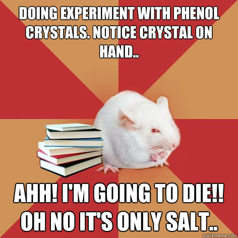 Doing experiment with phenol crystals. notice crystal on hand.. aHH! I'M GOING TO DIE!! 
OH NO IT'S ONLY SALT.. - Doing experiment with phenol crystals. notice crystal on hand.. aHH! I'M GOING TO DIE!! 
OH NO IT'S ONLY SALT..  Science Major Mouse