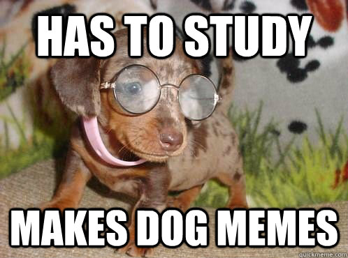 Has to study Makes DOg memes - Has to study Makes DOg memes  Procrastination