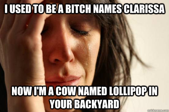 I used to be a bitch names Clarissa now i'm a cow named lollipop in your backyard   First World Problems