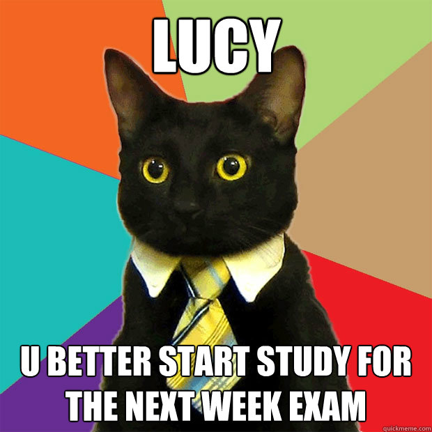 LUCY u better start study for the next week exam  Business Cat