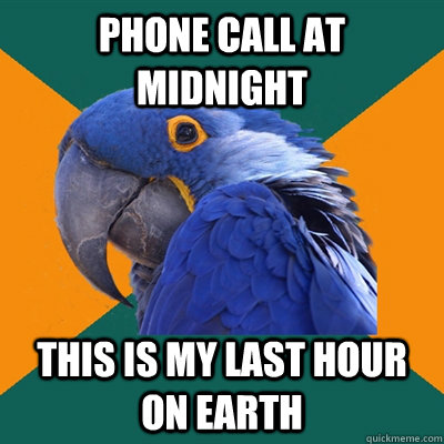 phone call at midnight this is my last hour on earth  Paranoid Parrot