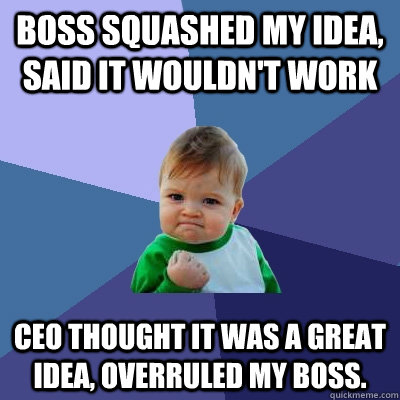 Boss squashed my idea, said it wouldn't work CEO thought it was a great idea, overruled my boss.  Success Kid