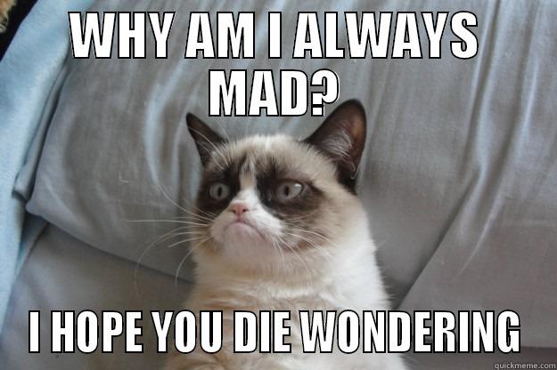 Hmmm... I wonder - WHY AM I ALWAYS MAD? I HOPE YOU DIE WONDERING Grumpy Cat
