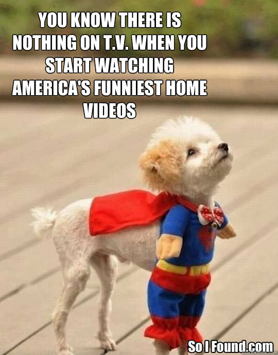 You know there is nothing on T.V. when you start watching America's Funniest Home videos - You know there is nothing on T.V. when you start watching America's Funniest Home videos  Super Dog