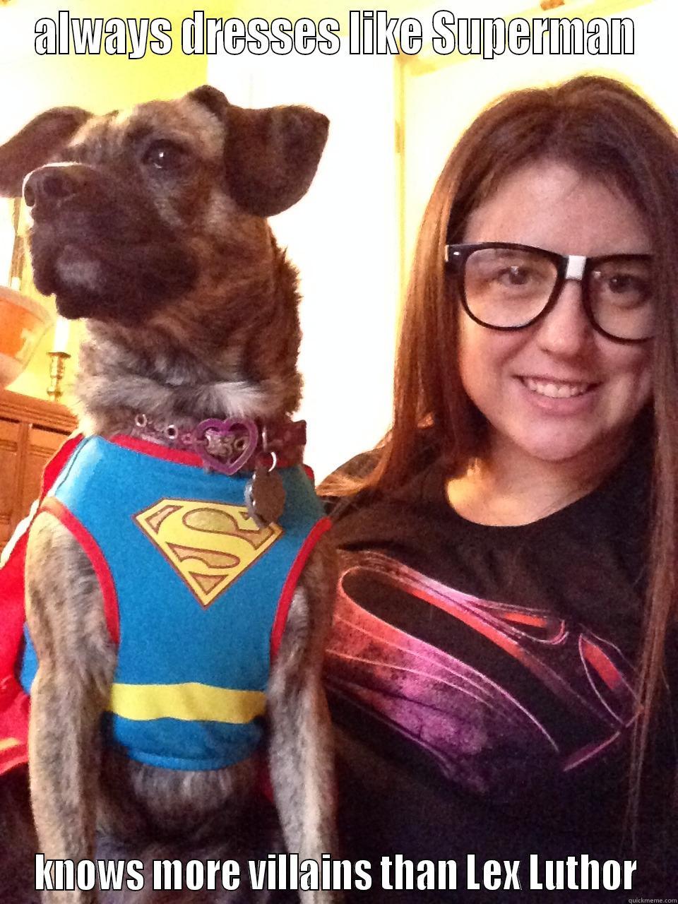 fangirl and dog - ALWAYS DRESSES LIKE SUPERMAN KNOWS MORE VILLAINS THAN LEX LUTHOR Misc