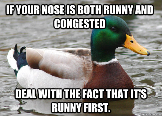 If your nose is both runny and congested Deal with the fact that it's runny first.  - If your nose is both runny and congested Deal with the fact that it's runny first.   Actual Advice Mallard