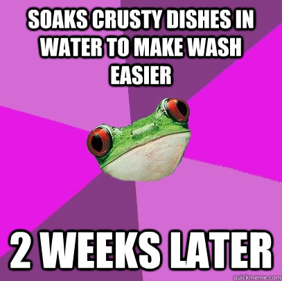 soaks crusty dishes in water to make wash easier  2 weeks later  Foul Bachelorette Frog