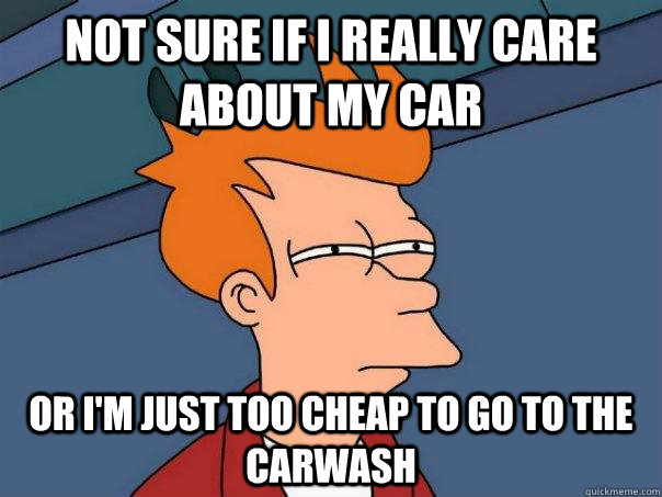 Not sure if i really care about my car or i'm just too cheap to go to the carwash - Not sure if i really care about my car or i'm just too cheap to go to the carwash  Futurama Fry