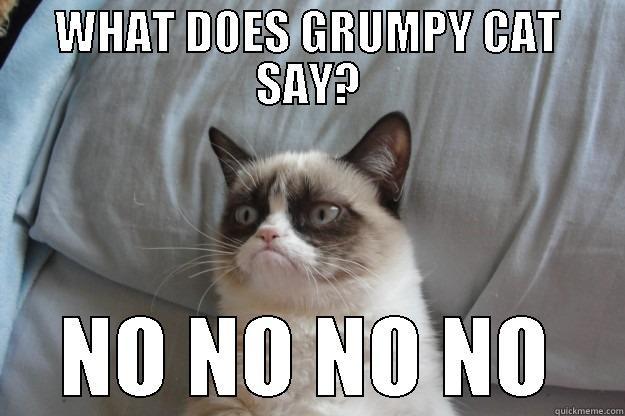 WHAT DOES GRUMPY CAT SAY? NO NO NO NO Grumpy Cat