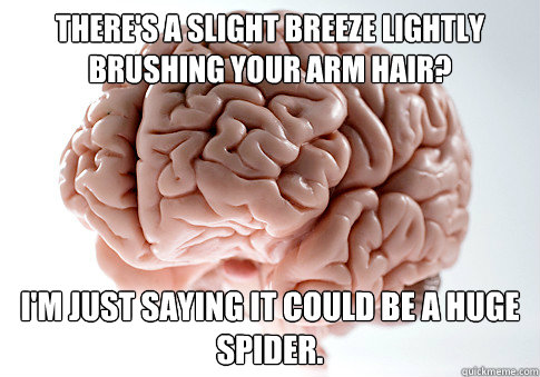 THERE'S A SLIGHT BREEZE LIGHTLY BRUSHING YOUR ARM HAIR? I'M JUST SAYING IT COULD BE A HUGE SPIDER.  Scumbag Brain