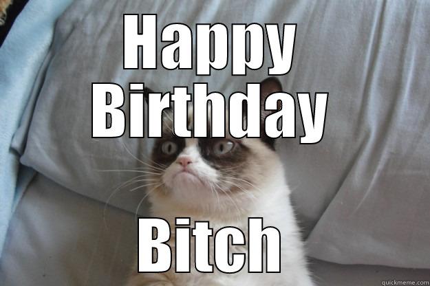 bitches birthday - HAPPY BIRTHDAY BITCH Grumpy Cat