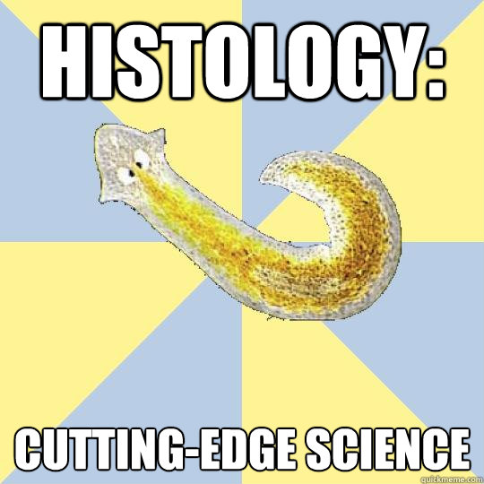 histology: cutting-edge science - histology: cutting-edge science  Bio Major Planarian