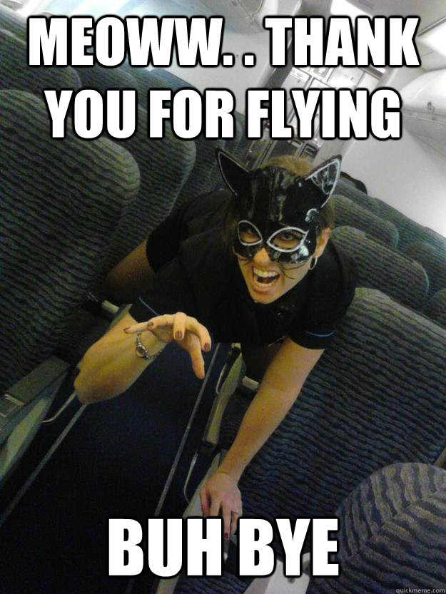 Meoww. . thank you for flying Buh bye  Sexy Flight Attendant